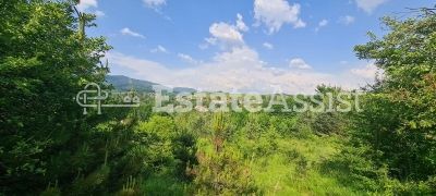 Парцел до регулация и къщи в гр.Априлци-Център - 8363кв.м.