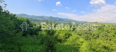 Парцел до регулация и къщи в гр.Априлци-Център - 8363кв.м.