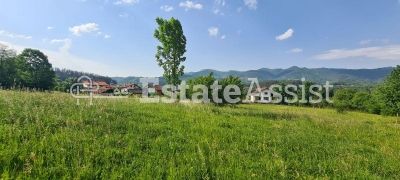 Парцел до регулация и къщи в гр.Априлци-Център - 8363кв.м.