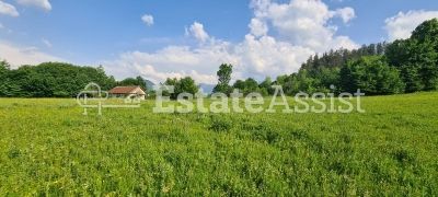 Парцел до регулация и къщи в гр.Априлци-Център - 8363кв.м.