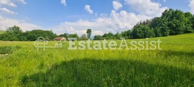 Парцел до регулация и къщи в гр.Априлци-Център - 8363кв.м.